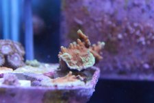 IMG_7023.jpg