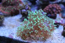 IMG_7024.jpg