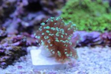 IMG_7025.jpg