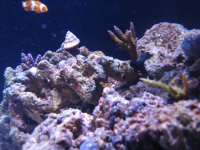 IMG_0369.JPG