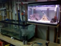 IMG_20120111_160637.jpg