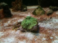 IMG_4948.jpg