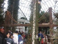 IMG_1511.JPG