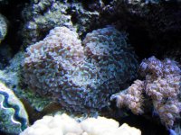 IMG_0114.JPG