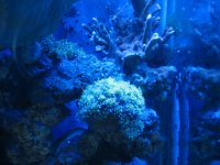 IMG_1539.JPG