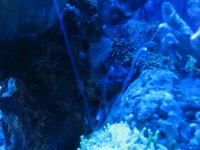 IMG_1548.JPG