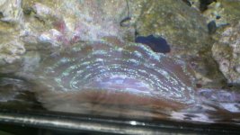 2012-02-26_17-43-45_522.jpg