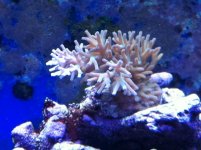 Phone pics 109.jpg