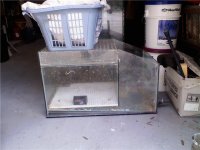 glass sump.jpg glass sump.jpg