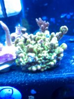 IMAG0482.jpg