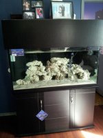 20120403_121428.jpg