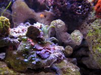 IMG_4785.JPG