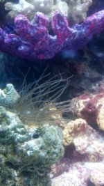2012-02-07_00-26-49_845.jpg