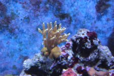 IMG_6998.jpg