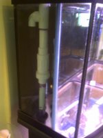 IMG-20110402-00313.jpg