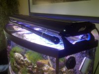 IMG-20120131-00042.jpg