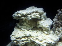 20120411_174833.jpg