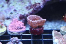 IMG_3004.jpg