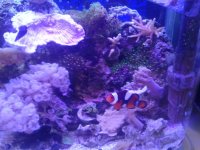 2012-05-24 13.41.12.jpg