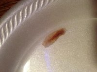 photo(4).jpg