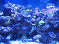 IMG_2429.jpg