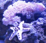 DSC01345.jpg
