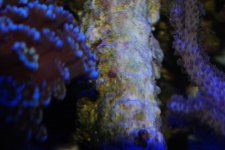 DSC_0074.JPG