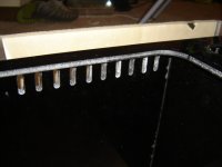 24 x 18 x 11 Clownfish Breeder Tank 003.JPG