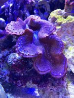 photo (91).jpg