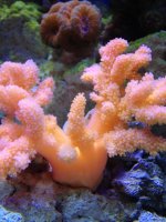 photo (92).jpg