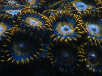 DSCF8339.jpg