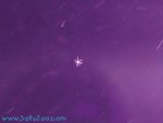 010430_1818_09-640.jpg