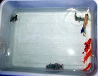 IMG_8577.jpg