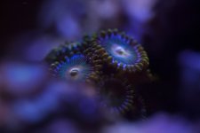 IMG_5140.jpg