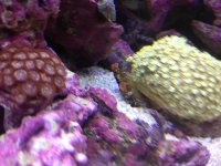 IMG_7166.jpg