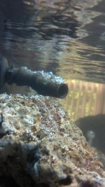 air bubbles.jpg