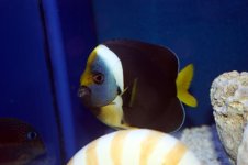 IMG_9240.jpg