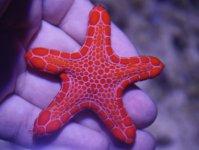 IMG_9265.jpg