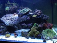 photo 4 (1).jpg