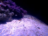 IMG_2084.JPG