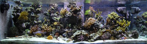 fts new.jpg fts new.jpg