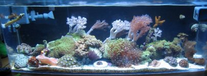 IMG_1641.JPG