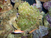LPS 5-7-07 020.jpg