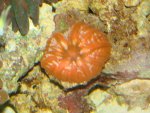 DSC00547.JPG