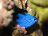 IMG_0277.jpg