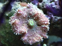 IMG_0286.jpg