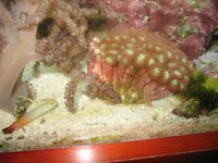 IMG_0703_1.JPG