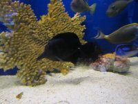 IMG_1117.JPG