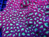 IMG_1134.JPG