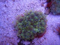 IMG_1140.JPG